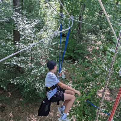 Catalpa
